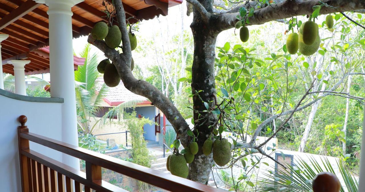 Terrace Garden Ayurveda Resort Weligama Eksteriør billede