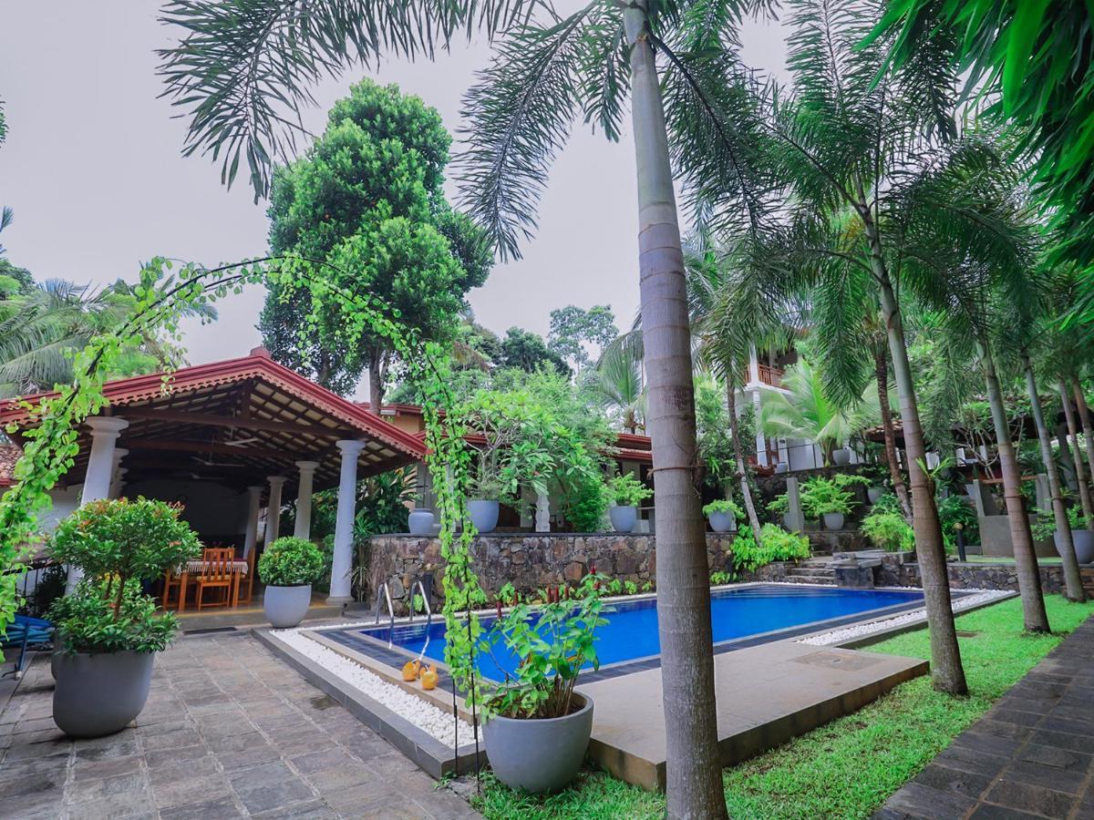 Terrace Garden Ayurveda Resort Weligama Eksteriør billede