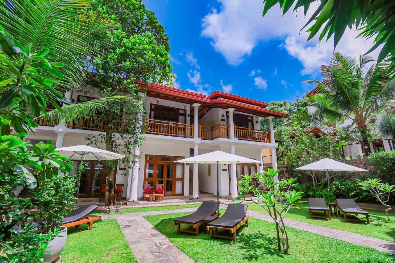 Terrace Garden Ayurveda Resort Weligama Eksteriør billede