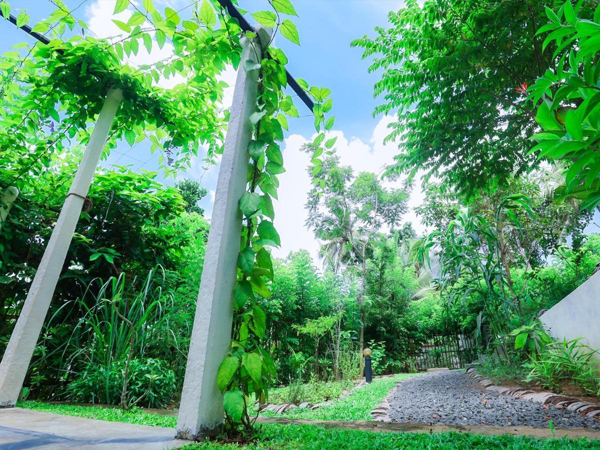 Terrace Garden Ayurveda Resort Weligama Eksteriør billede