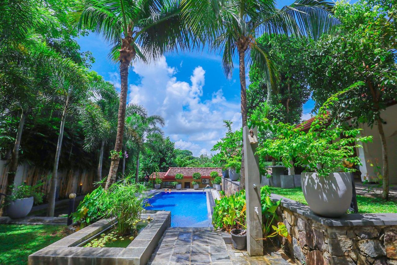 Terrace Garden Ayurveda Resort Weligama Eksteriør billede